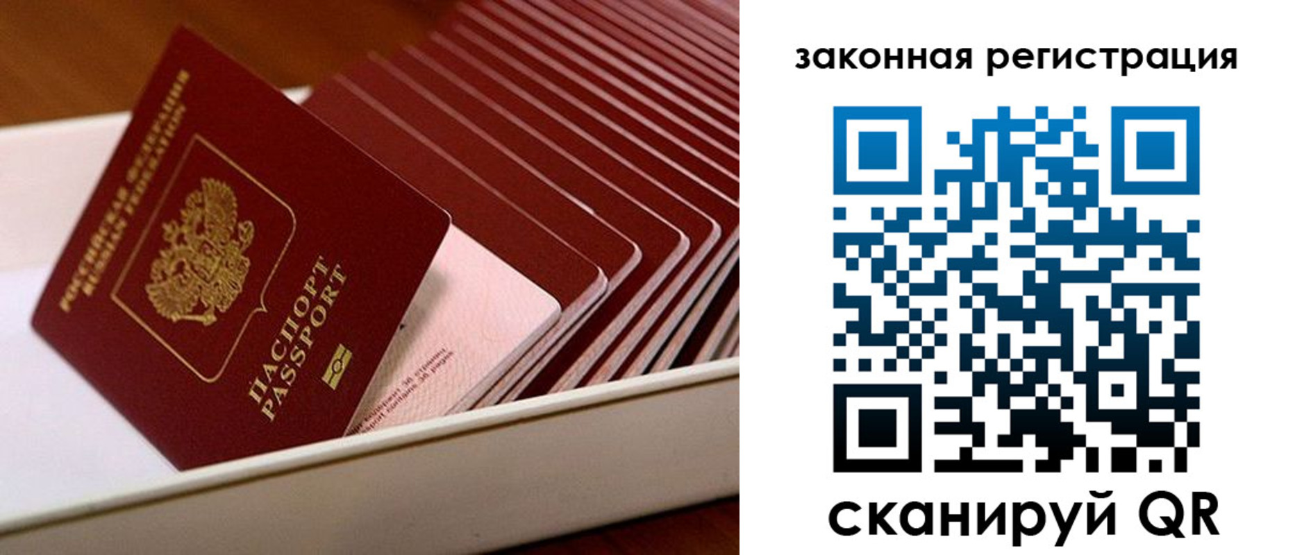 временная регистрация в Гатчине